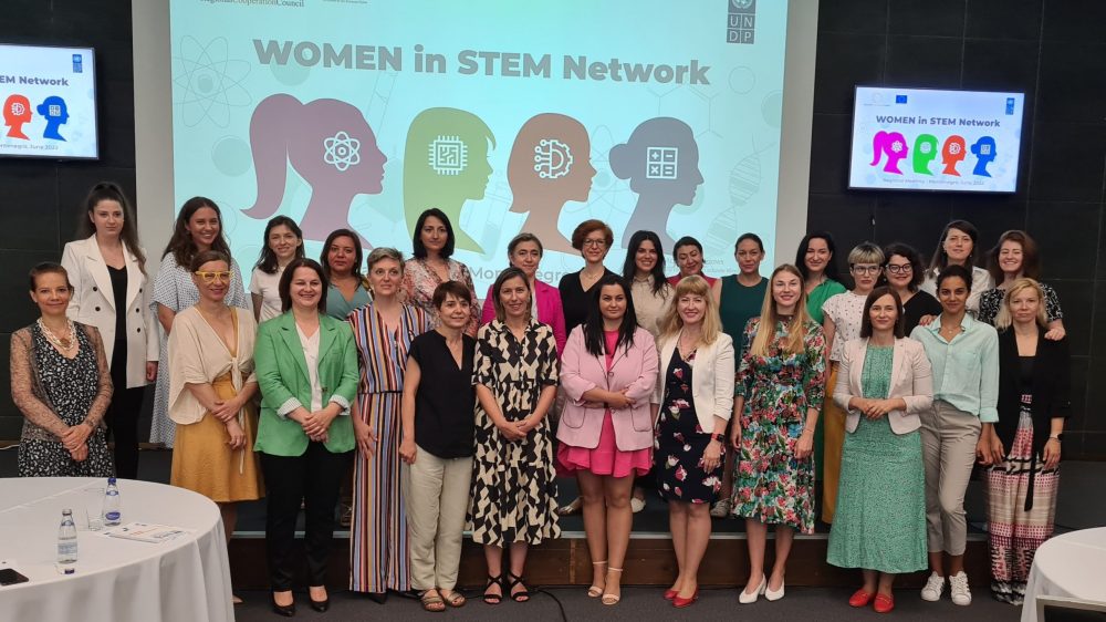Regional Meeting Women in STEM Network Group