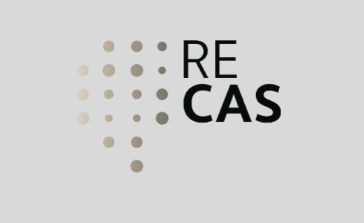 RECAS Regional Fellowship 2025 Call Open 